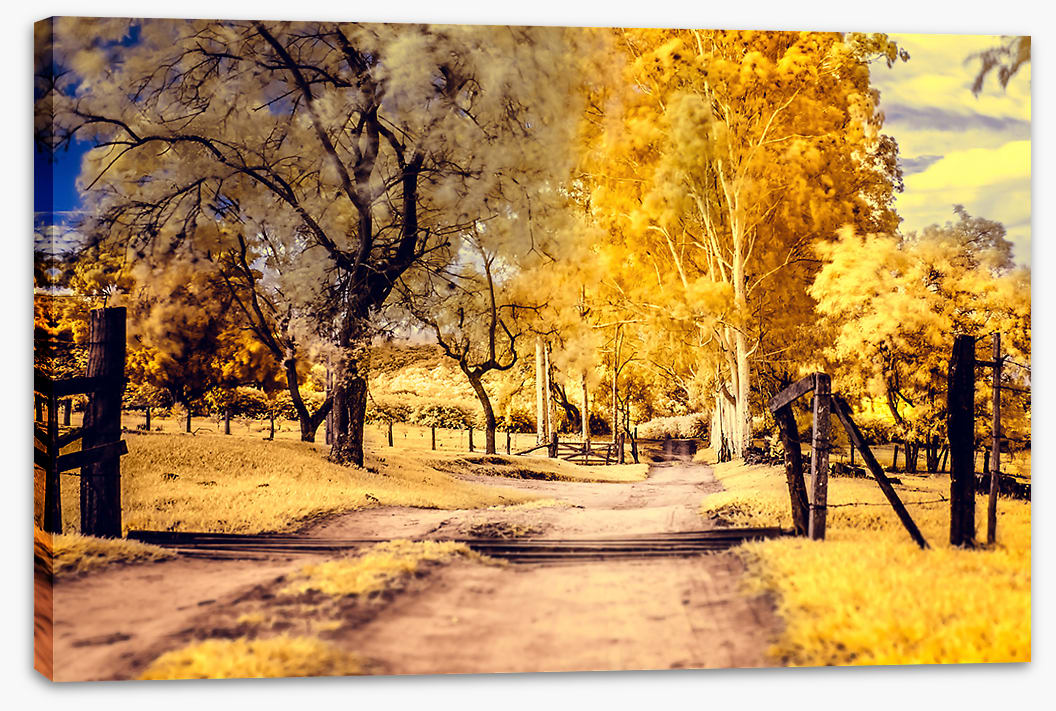 The yellow path