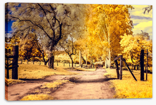 The yellow path