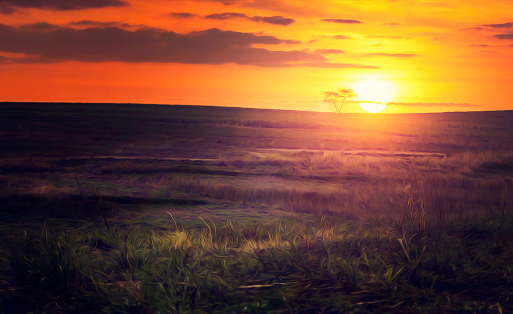 Golden sunset