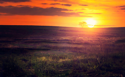 Golden sunset
