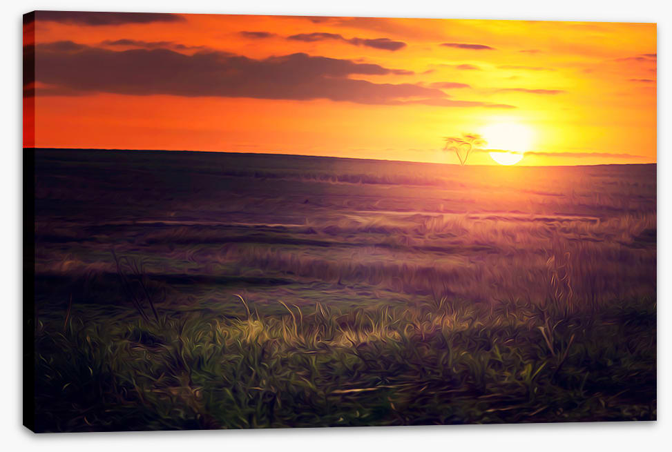 Golden sunset