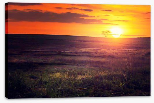 Golden sunset