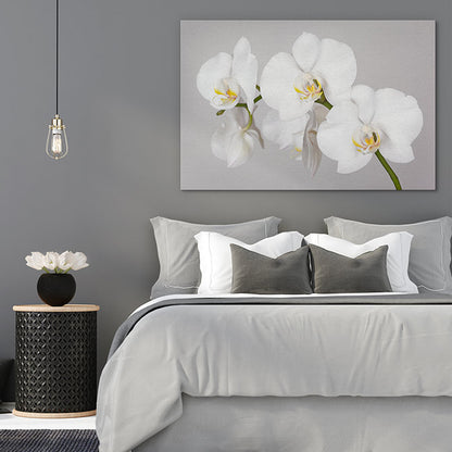 White orchid branch