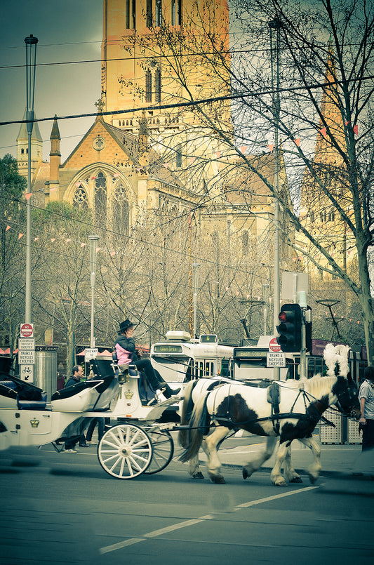 Winter in the city