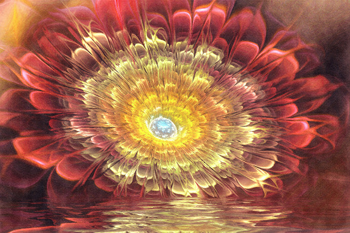 Antique rose