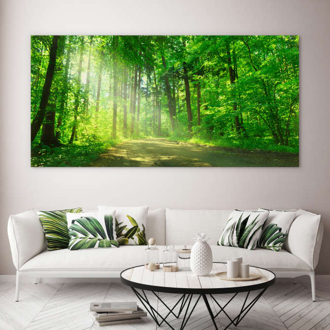 Sunbeam on the forest road