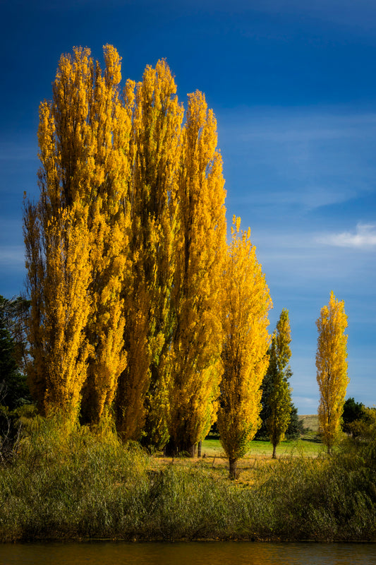 High country autumn