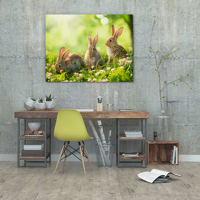 Spring bunnies