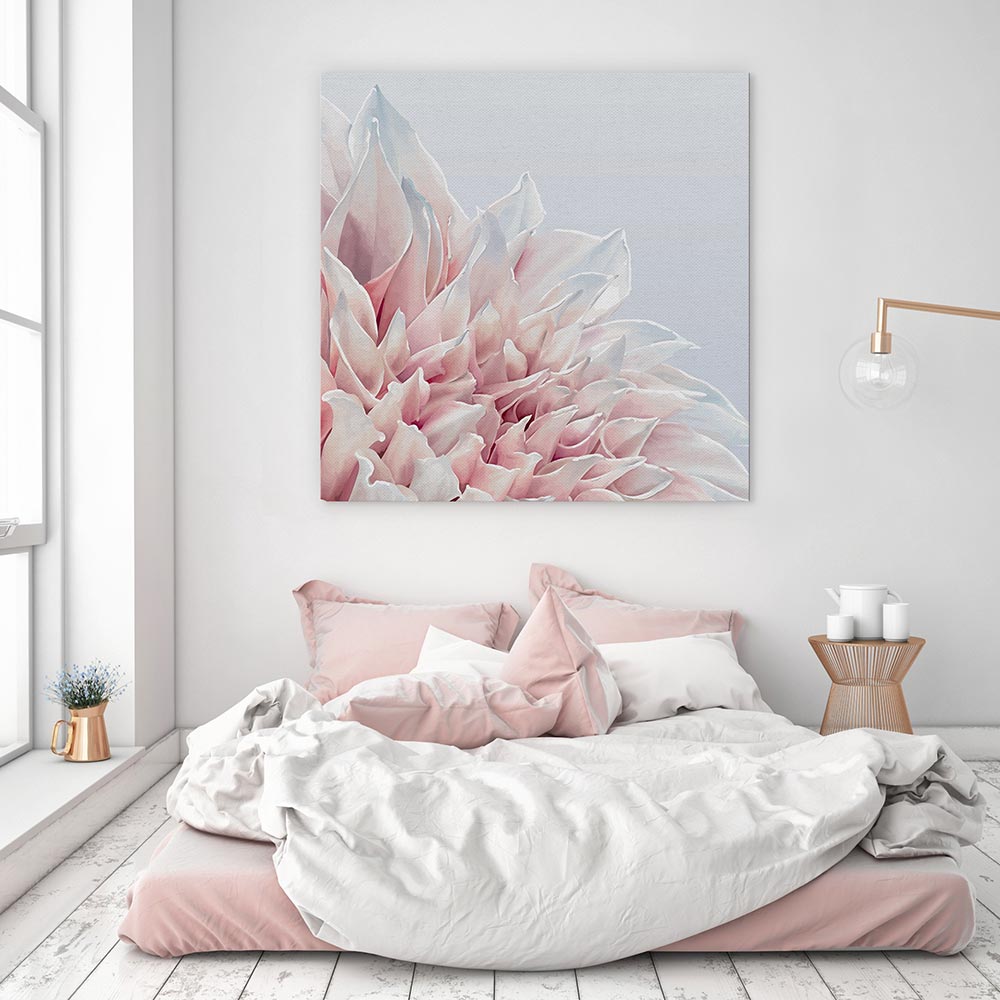 Soft pink dahlia