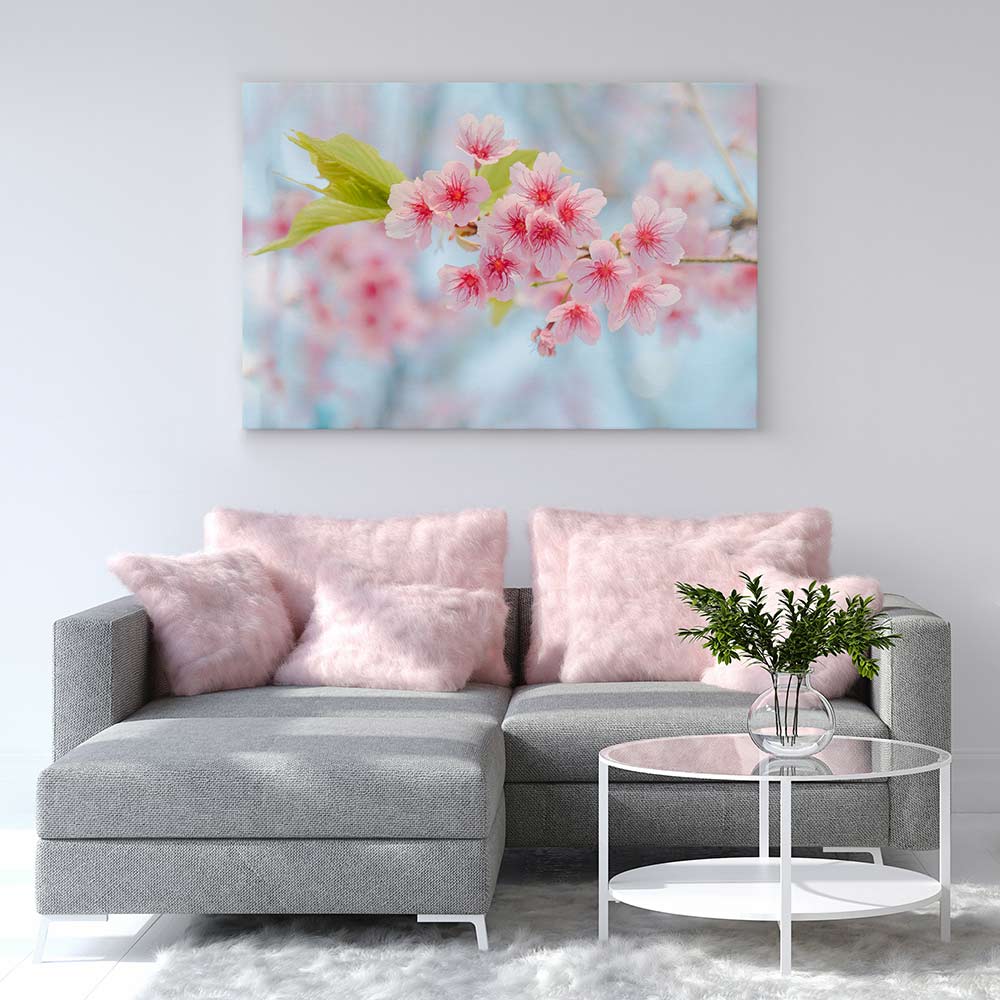 Cherry blossoming