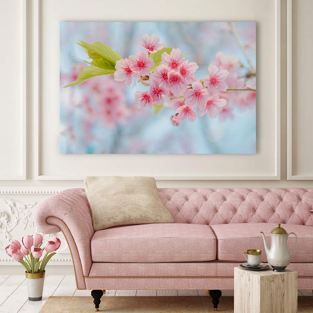 Cherry blossoming