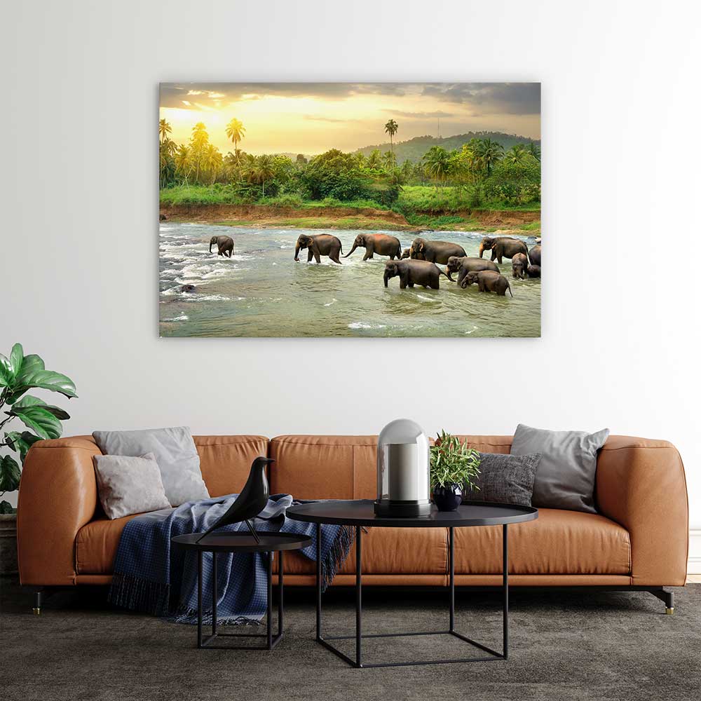 Elephant river