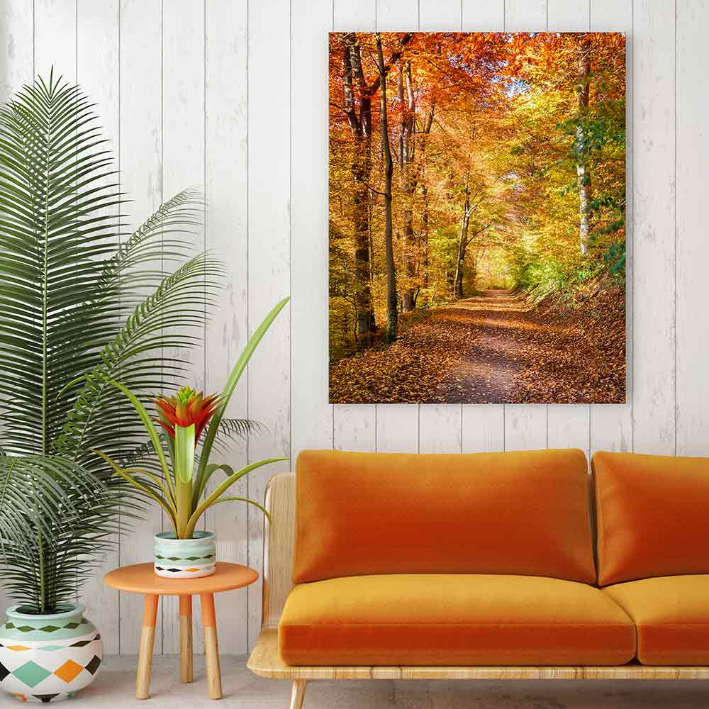 Fall light falling