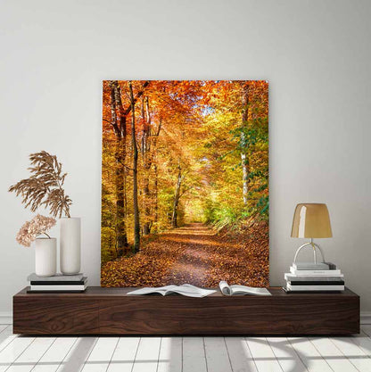 Fall light falling