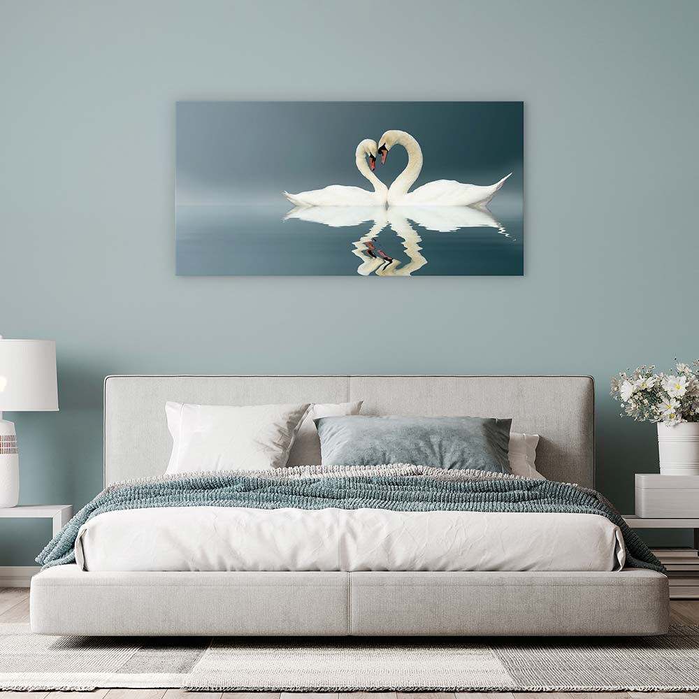 Love swans panorama