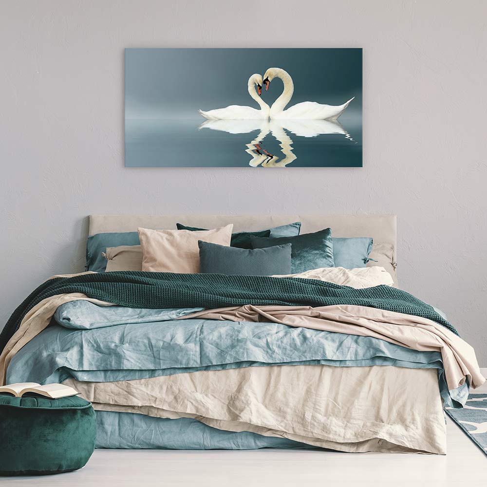 Love swans panorama