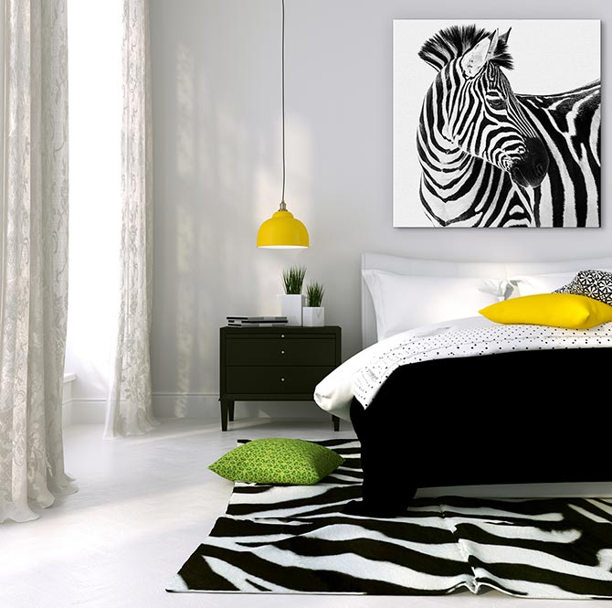 Up close and zebra