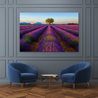 The lavender tree