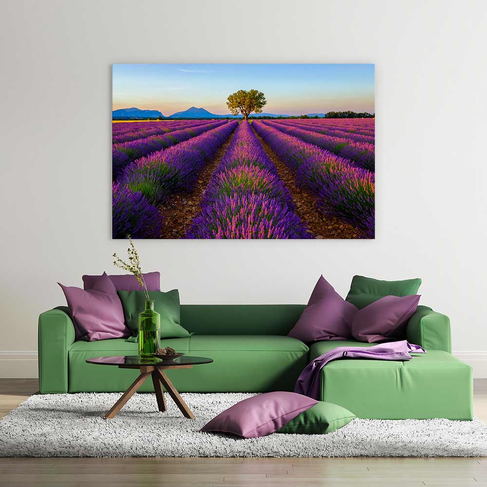 The lavender tree
