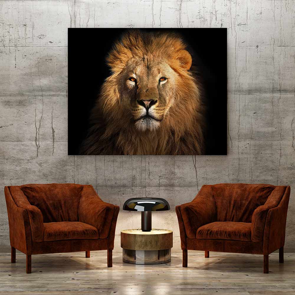 Eye of the lion