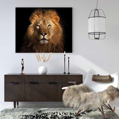 Eye of the lion