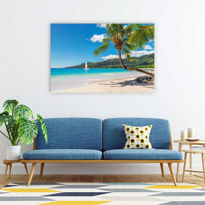 Coconut paradiso