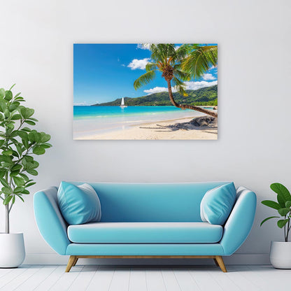 Coconut paradiso