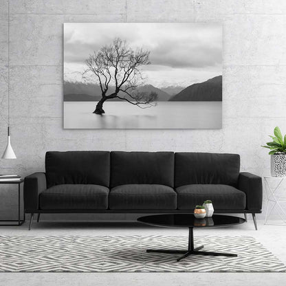 That Wanaka tree