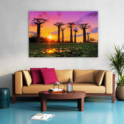Goodnight baobabs