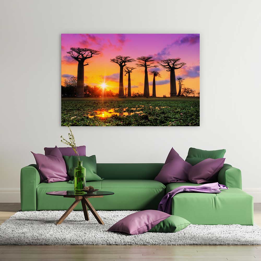 Goodnight baobabs