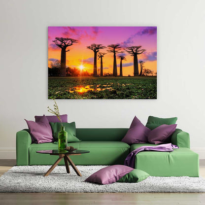 Goodnight baobabs