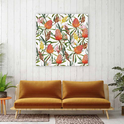 Banksia beauty