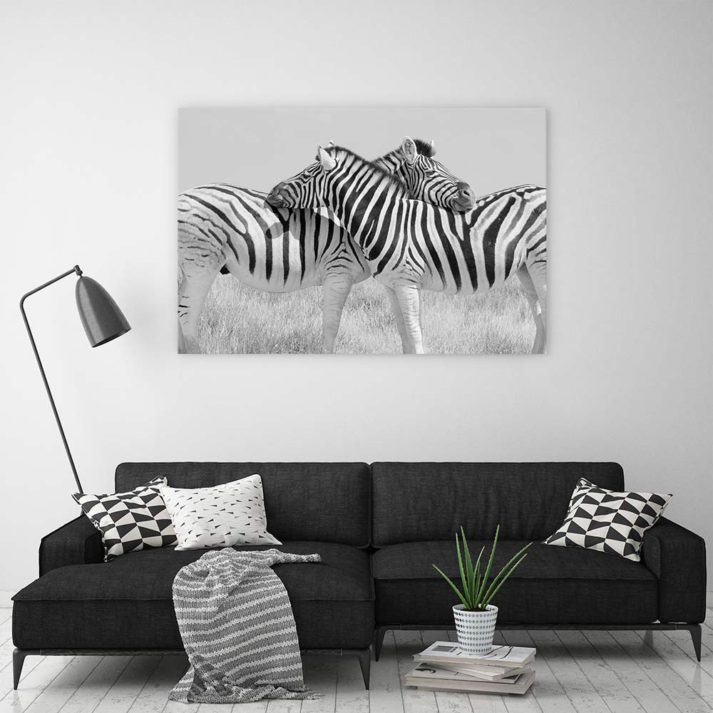 Zebra hugs