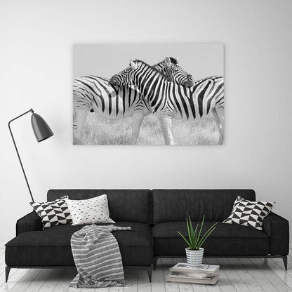 Zebra hugs