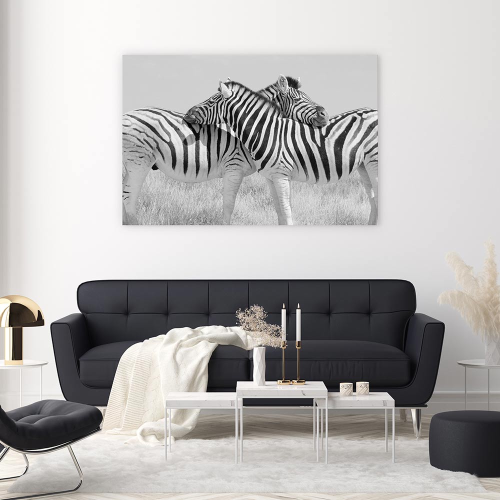 Zebra hugs