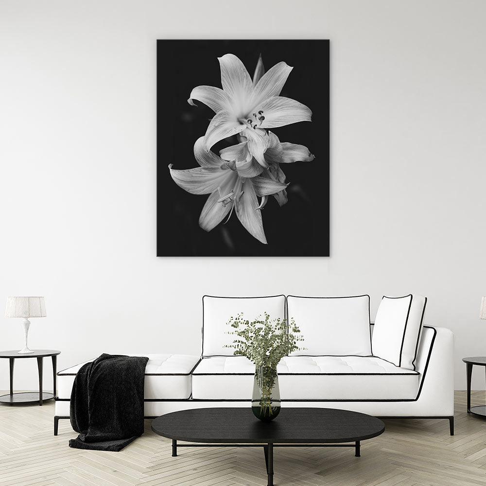 Pure lily