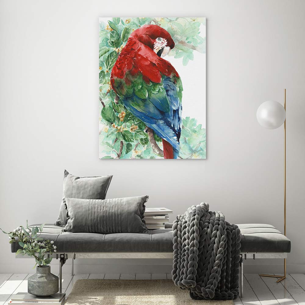 Tropical macaw