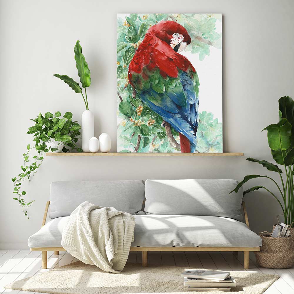 Tropical macaw