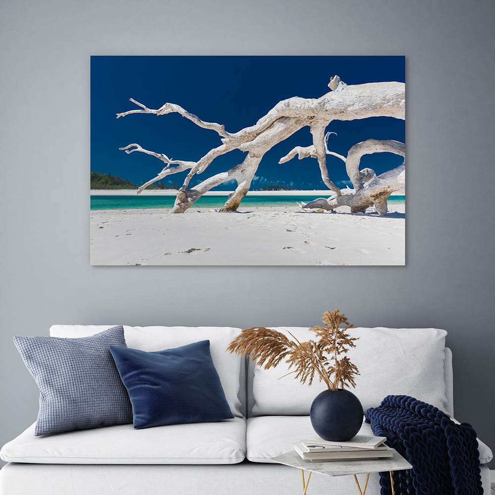 Whitehaven driftwood