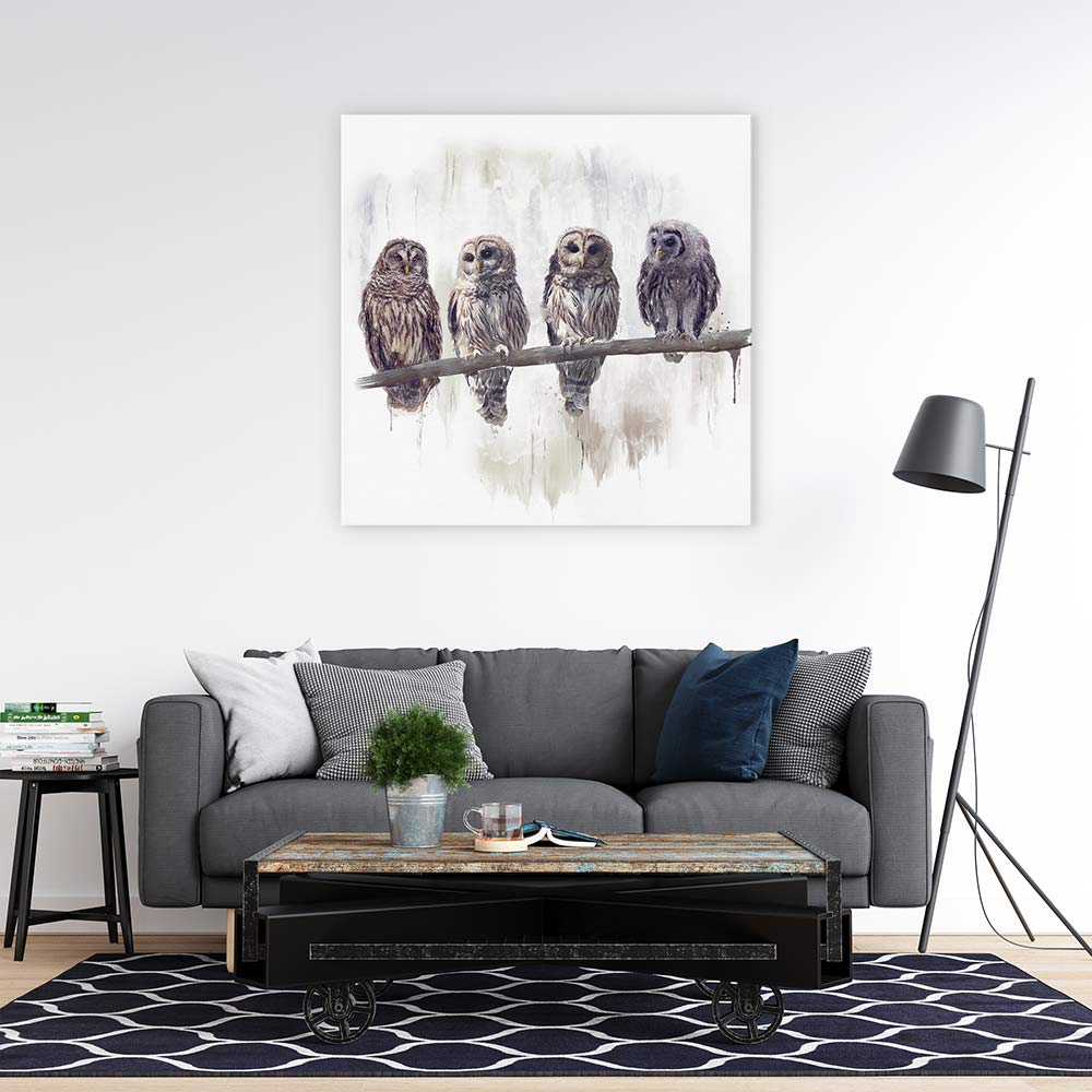 Owl rendez-vous