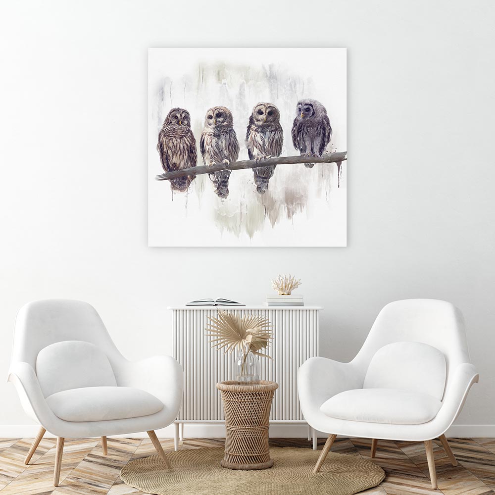 Owl rendez-vous