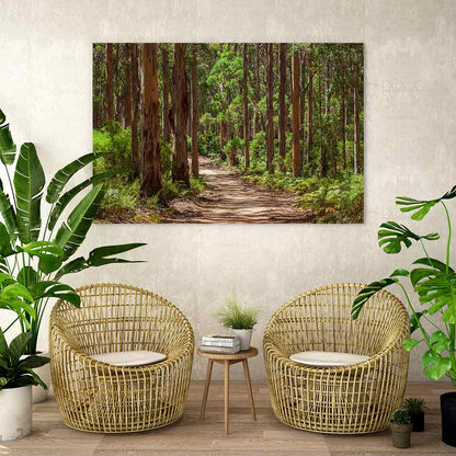 Karri forest trail