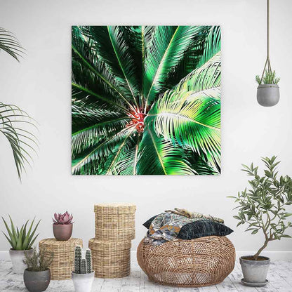 The coconut tree