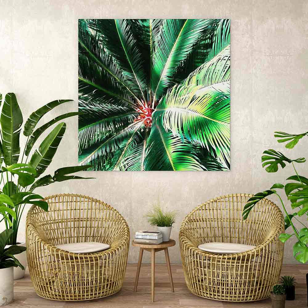 The coconut tree