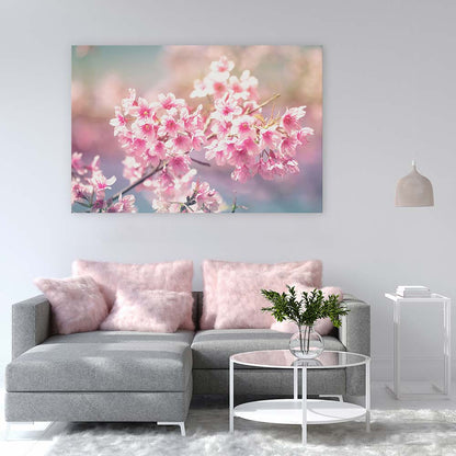 Sakura sunlight