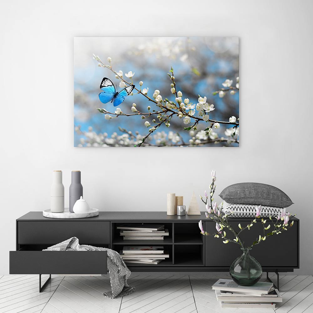Blue butterfly blossom