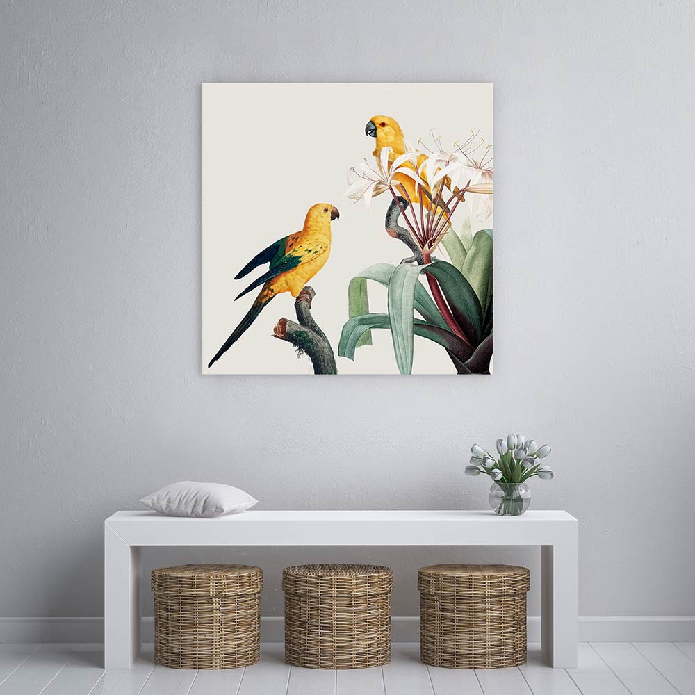 Feathered friends I