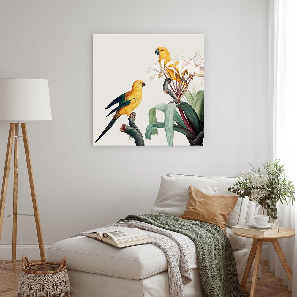 Feathered friends I