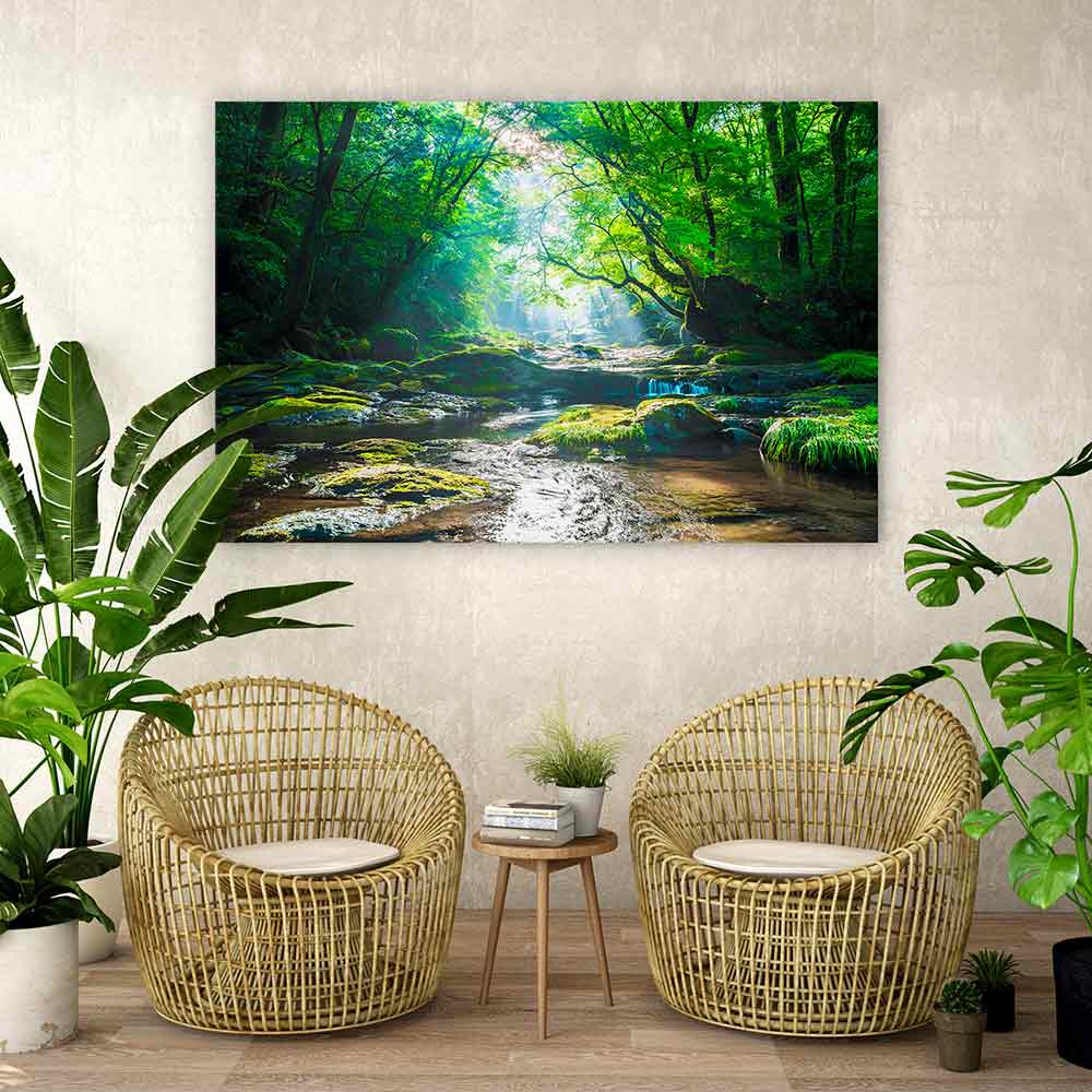 Forest river rays