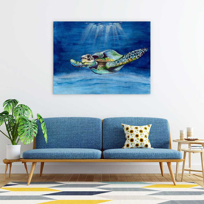 Green sea turtle